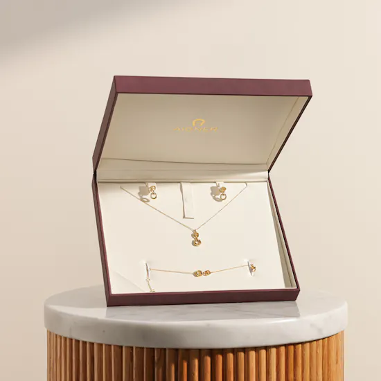 Aigner Sella Set Gold Plated Tone Women's Set
