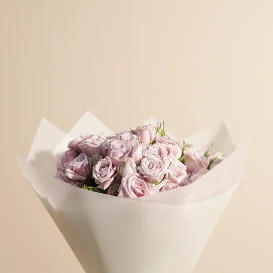 Purple Radiance Bouquet | 18 Baby Roses
