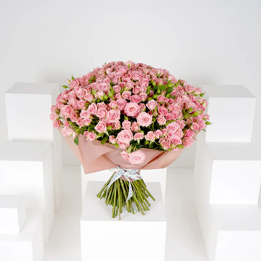 100 Pink Baby Roses V 2