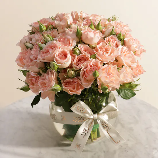 Blush Elegance Baby Roses Vase