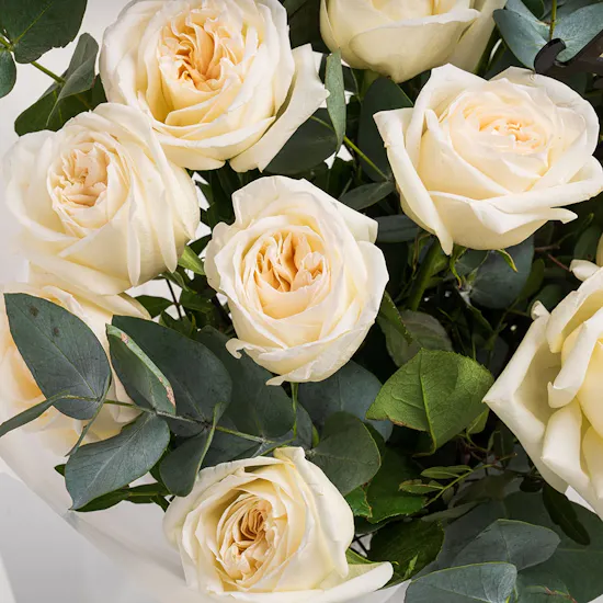 Ferrero Cake | White Roses Bouquet