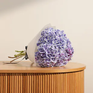 Hydrangea Magical Harlekijn Blue Bouquet Hydrangea Magical Harlekijn Blue Bouquet