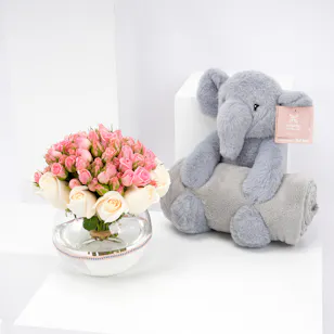 Rose | Elephant with Small Blanket