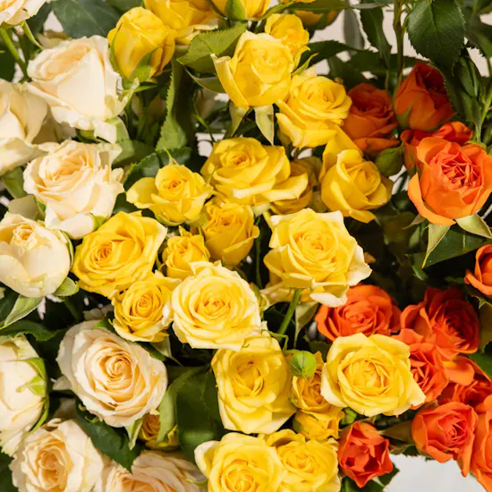 Dream Gleam Roses Box