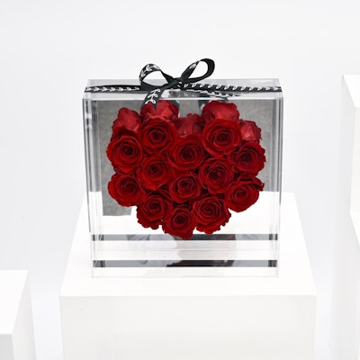 Preserved Red Roses | Acrylic Box