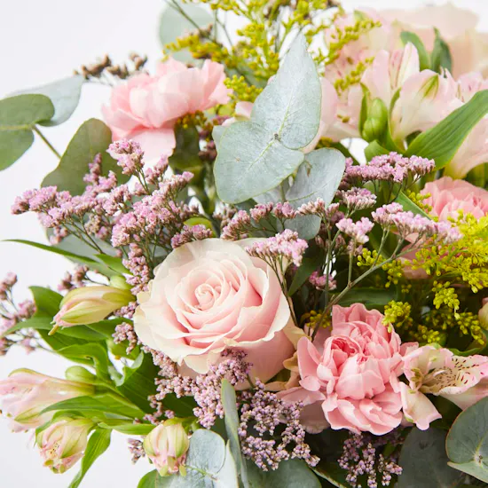 Charbonnel and Walker Chocolate Truffles Box | Blush Crush