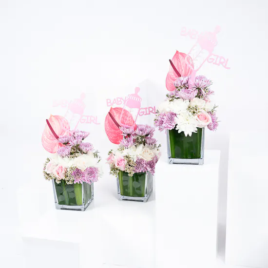 New Baby Girl Reception Vases | Cutie Trio