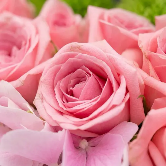 مزهرية المشاعر الدافئة