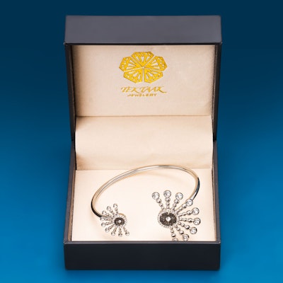 Raggi Silver Bangle