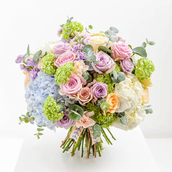 Pastel Charm