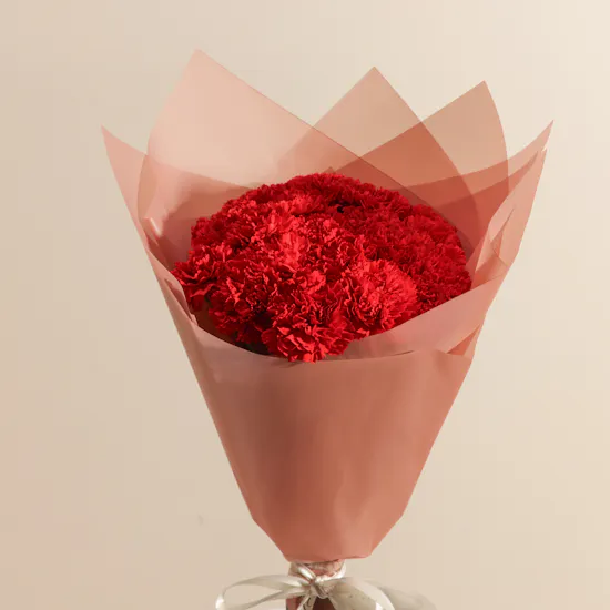 Red Carnation Blooming Bouquet | 20 Flowers