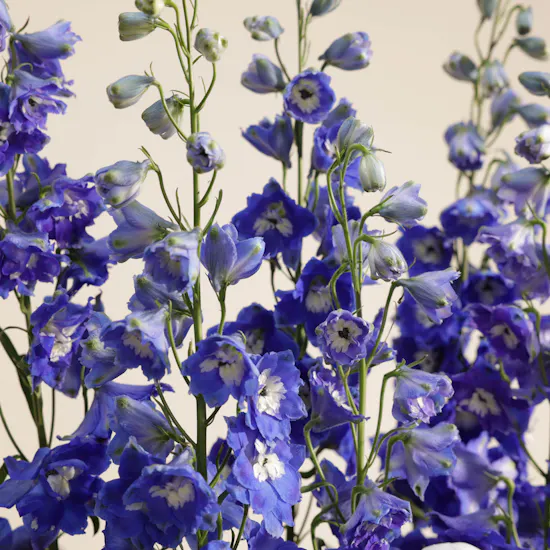 Summer Sky Symphony Vase