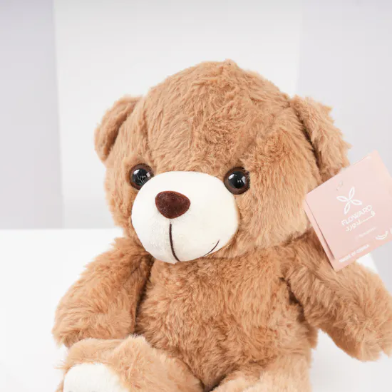 Floward Small Teddy Bear | Dozen Red Roses