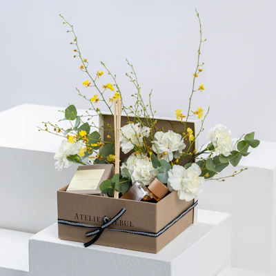 مجموعة العنبر من أتيليه ريبول مجموعة العنبر من أتيليه ريبول