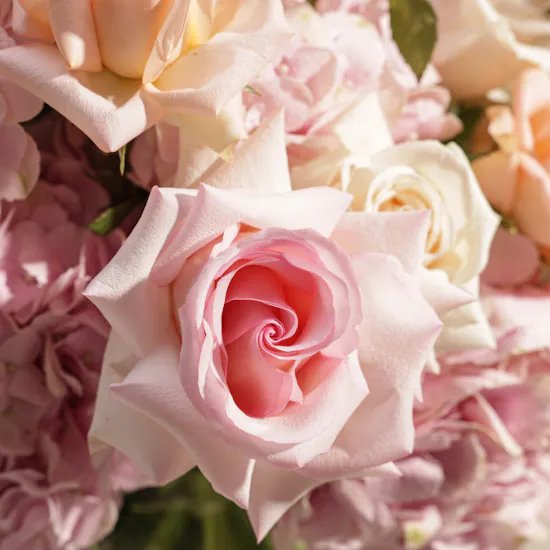 Soft Serenity Flowers Vase by September Studio