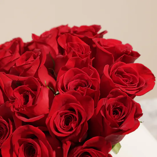Blooming Red Roses Box | 25 Flowers