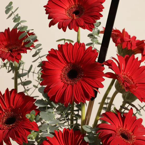 Patchi Les Choco Noix Chocolate Box | Blessed Path Flower Vase
