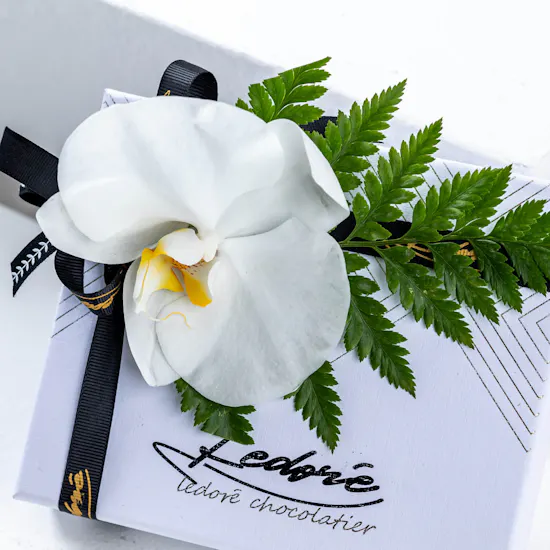 Ledore Gift Small Box | Orchid White