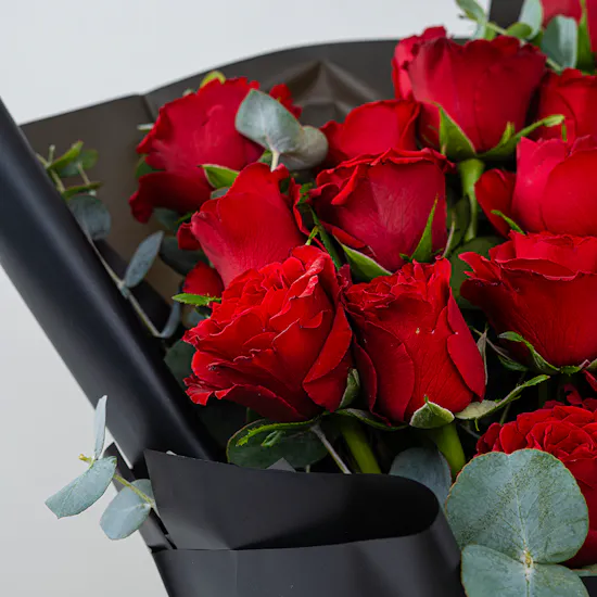 Love in Every Rose