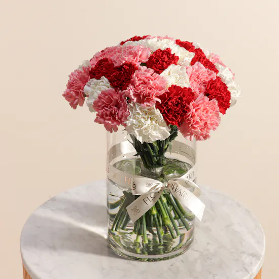 Colorful Carnation Vase