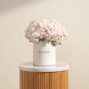 Pink Clouds Flowers Box 