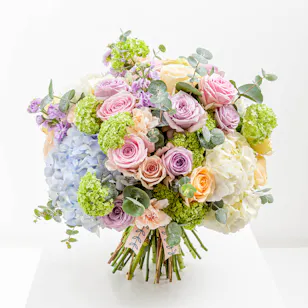 Pastel Charm Pastel Charm