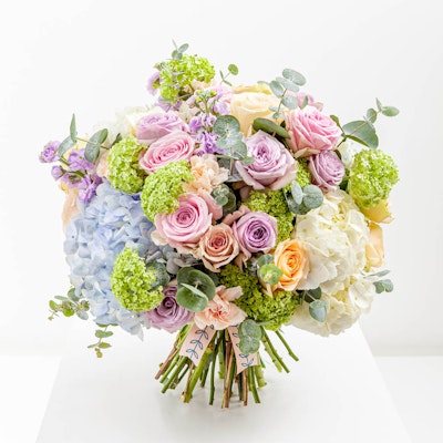 Pastel Charm Pastel Charm