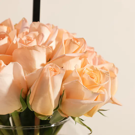 Abdul Samad Al Qurashi Crassna Sioufi Agarwood Oil Set | Graduation Roses Vase