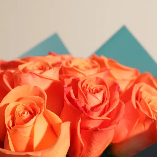 Shiny Orange Roses Bouquet | 12 Roses