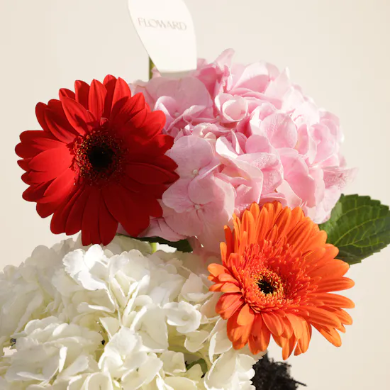 Floward Chocolate Round Glass Tray | Golden Cheer Flower Vase