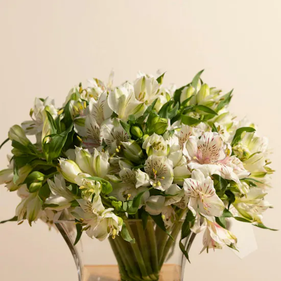 Cherished Alstroemeria Vase