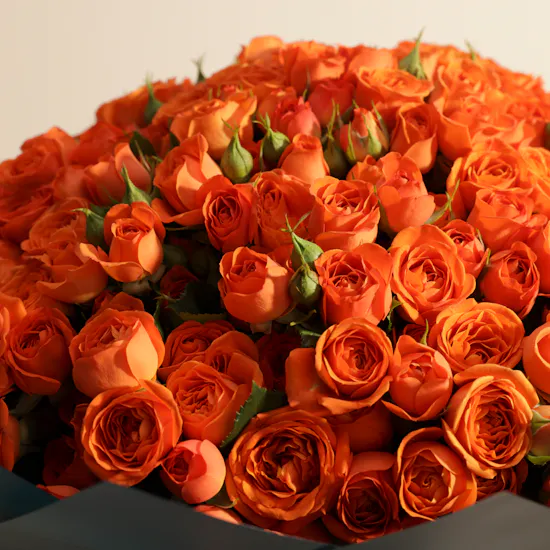 Orange Beauty | 100 Baby Rose Bouquet