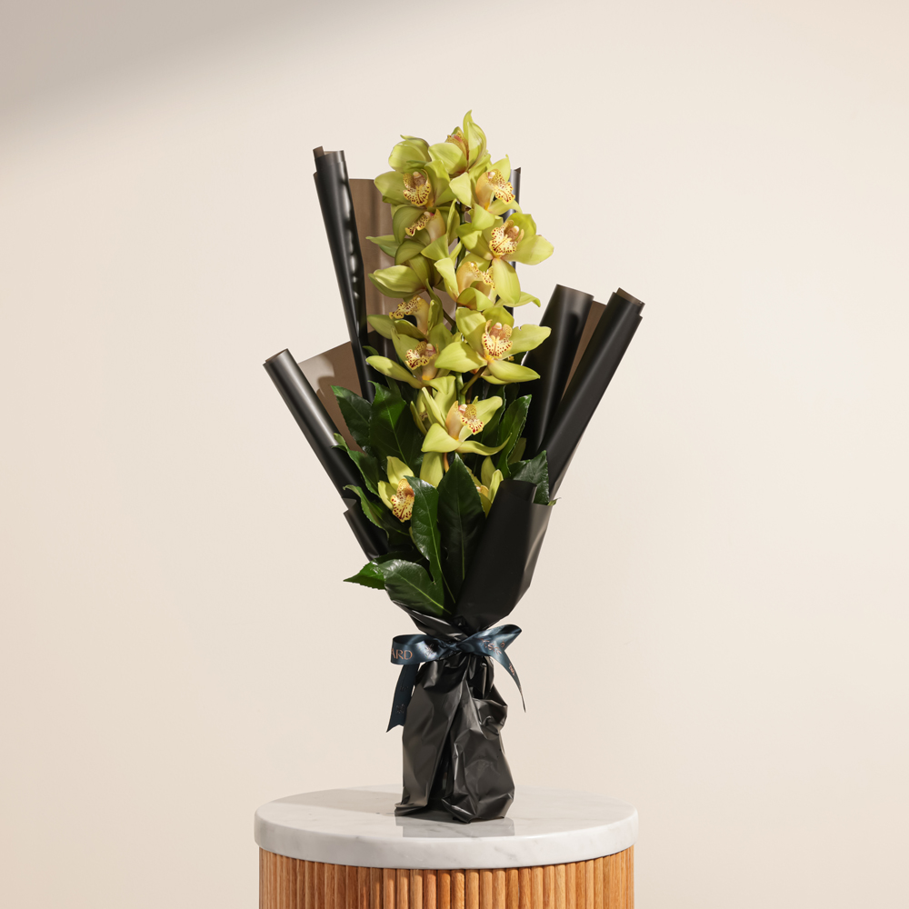 باقة أوركيد سيمبديوم أخضر