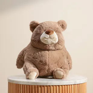 Floward Small Cuddly Brown Plush Bear Toy