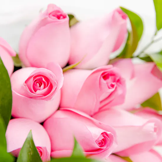 Pink Paradise | Roses Bouquet