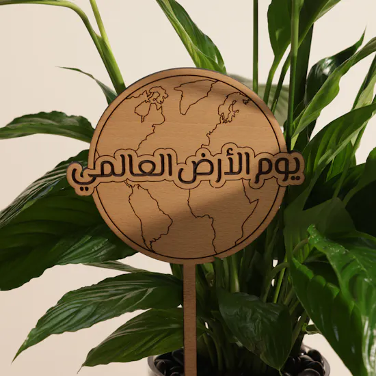 Delight Colombia Peace Lily Earth Day Plant