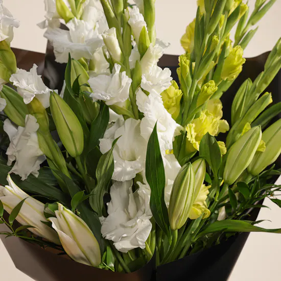 Elegance Blooms | Flowers Bouquet
