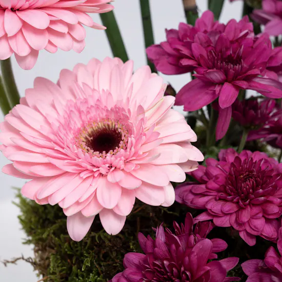 Charming Spring Vase