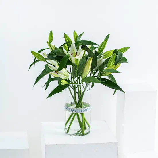 White Lilies | Cylinder Vase