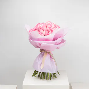 Rose Revival | Pink Wrap Rose Revival | Pink Wrap