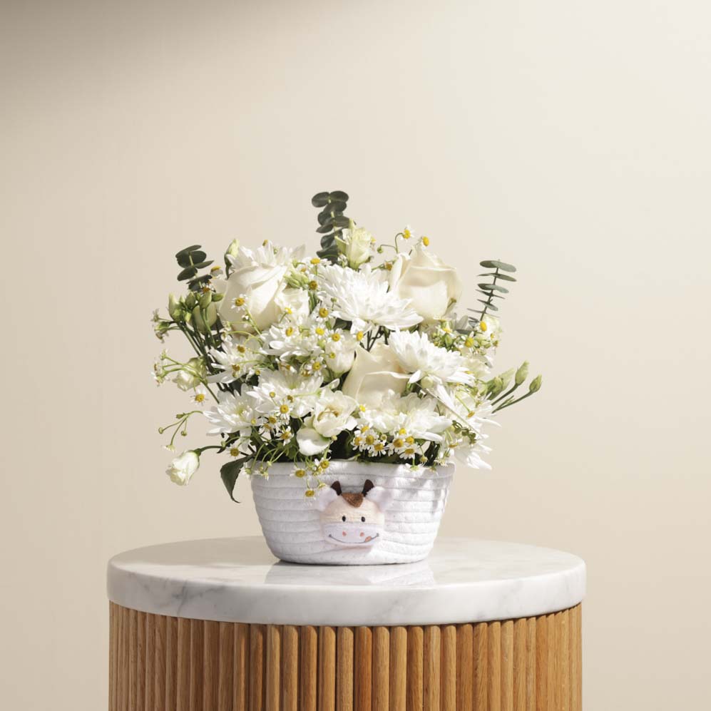 الزهور البيضاء | سلة البقرة 