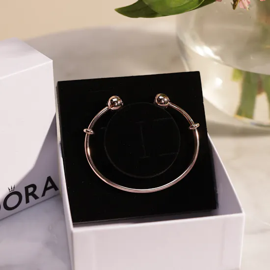 Pandora Moments Open Bangle | Flower Vase