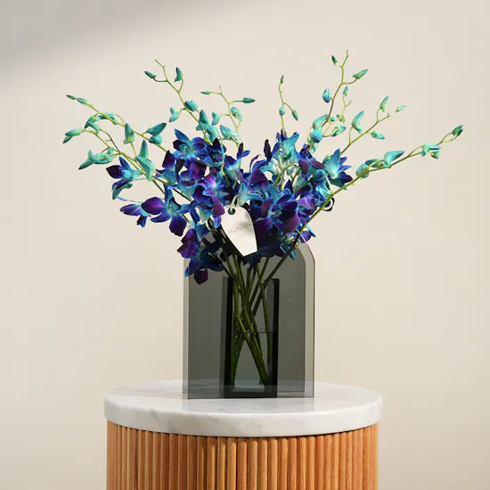Morning Mist Blue Baby Orchid Vase