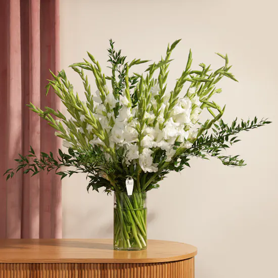 White Gladiolus | Glass Vase