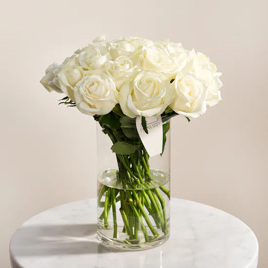 Ivory Bliss Rose Vase