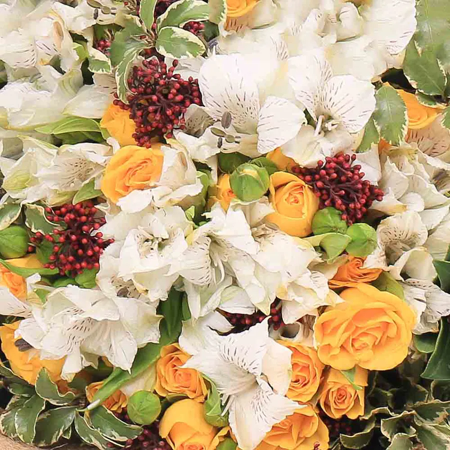 Richy White Ghutra | Delicate Spring 3
