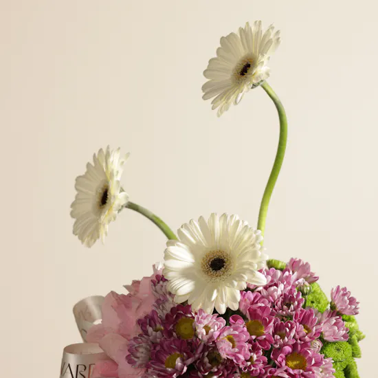 Blush Paws Flower Vase