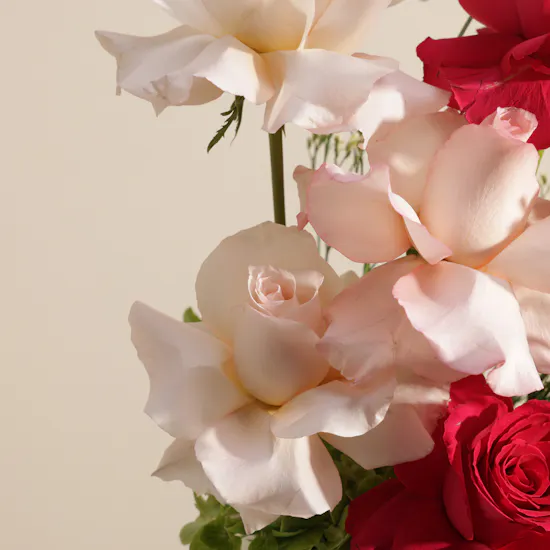 Garden Paradise Flowers Box