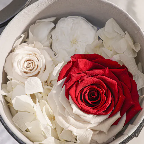 Qatar Flag Preserved Rose