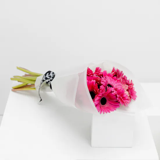 15 Fuchsia Gerbera | White Wrap